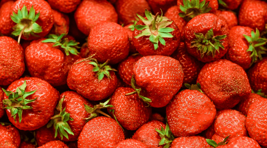 Festival della fragola