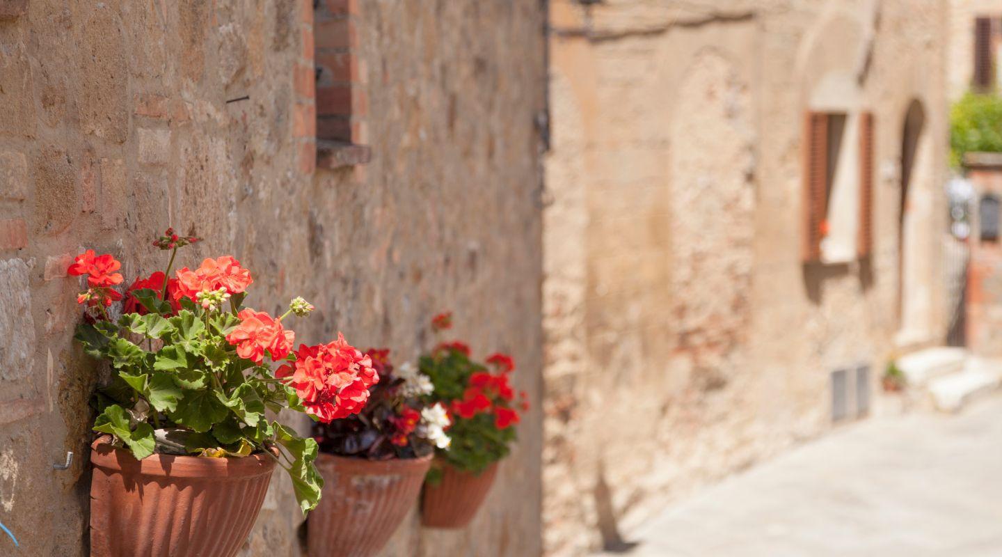 Barberino Val d'Elsa in Fiore