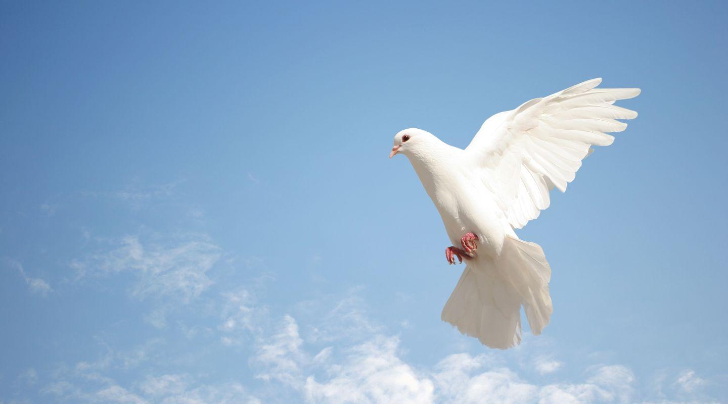 Volo delle Colombine