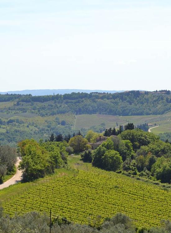 Villa_il_Poggiale_Piscina_12t